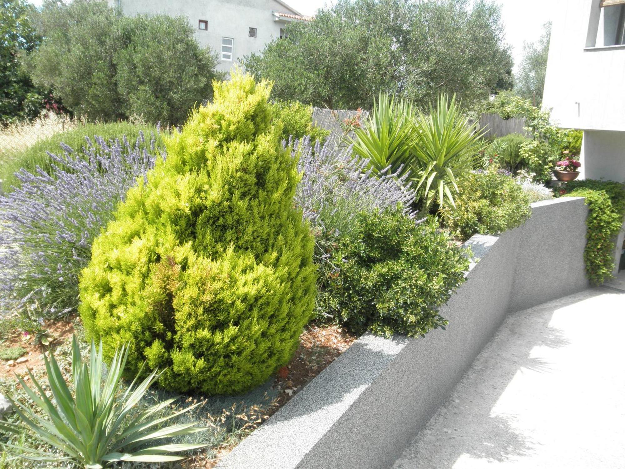 Apartments Dora Bibinje, 30 M From The Sea Szoba fotó
